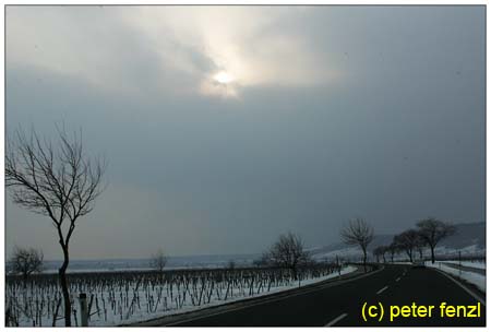 winter-078